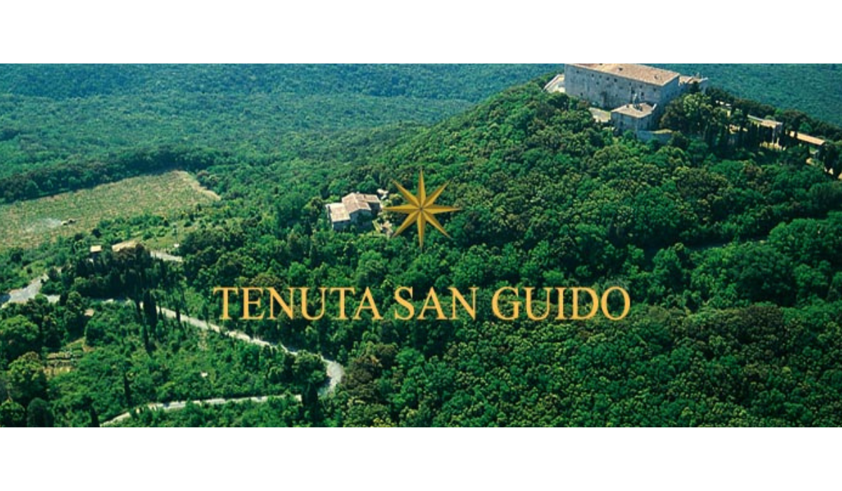 TENUTA SAN GUIDO
