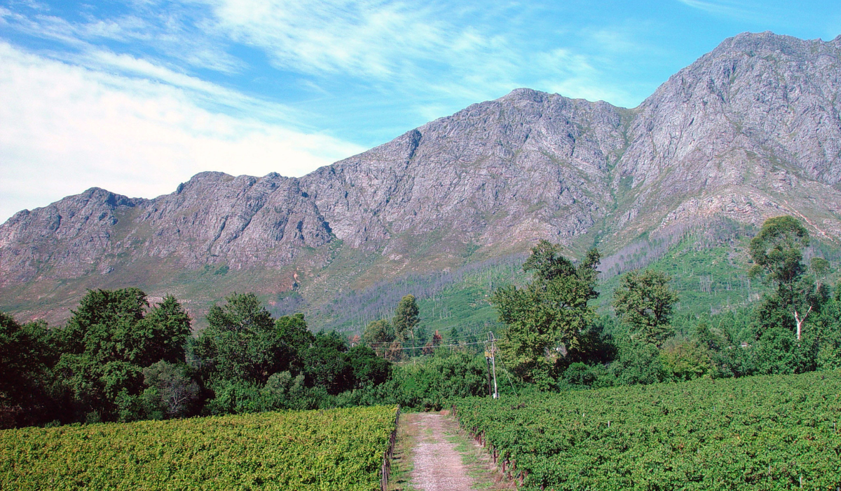 BOEKENHOUTSKLOOF