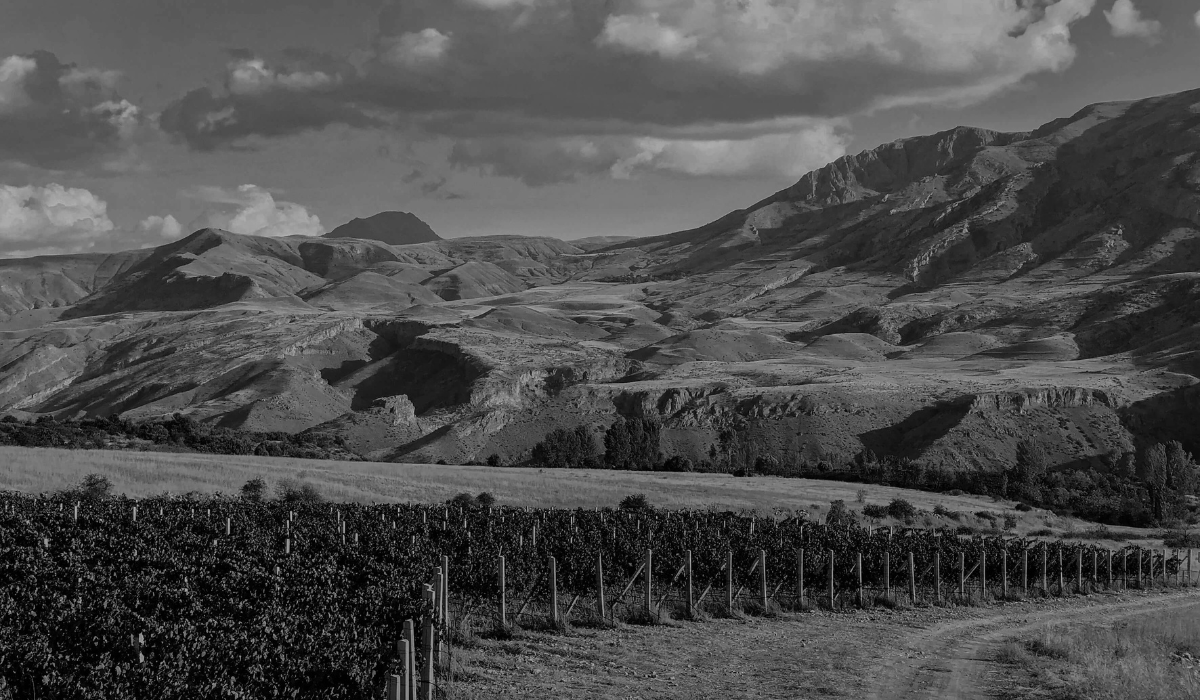 Trinity Canyon Vineyards