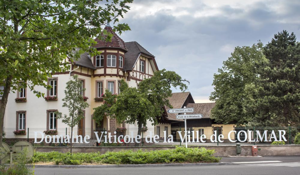 DOMAINE VITICOLE DE LA VILLE DE COLMAR