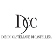 DOMINI CASTELLARE DI CASTELLINA 