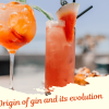 Origin of gin and its evolution