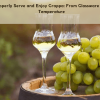 How to Properly Serve and Enjoy Grappa: From Glassware Selection to Temperature