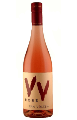 VAN VOLXEM 
Pinot Noir
Rose  - WINE | VINO&VINO