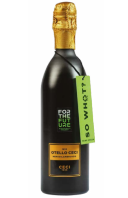OTELLO CECI 
"For The Future"
Nero di Lambrusco | VINO&VINO