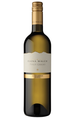 ELENA WALCH Pinot Grigio 2017 - WINE | VINO&VINO